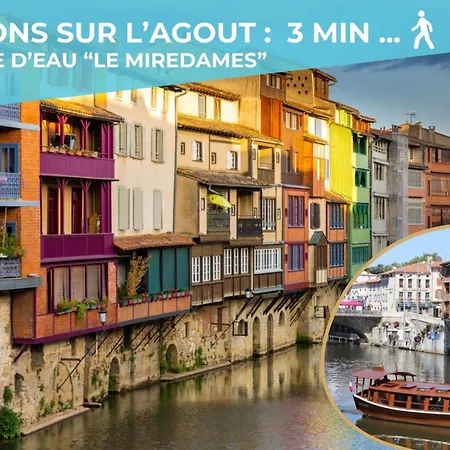 Le Colibri - T3 Spacieux, Lumineux & Cosy Castres (Tarn)